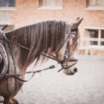 Erfolgreiche Absolventen: Inspiriert von Handelshochschulen